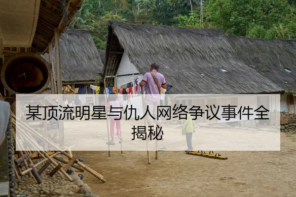 某顶流明星与仇人网络争议事件全揭秘